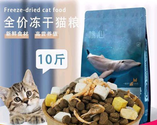 适合加菲猫的猫粮有哪些推荐？