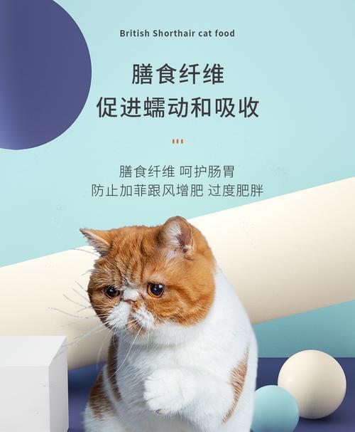 适合加菲猫的猫粮有哪些推荐？