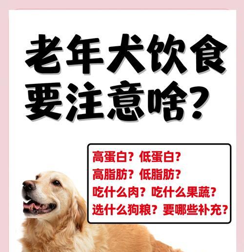 中型犬每日狗粮摄入量标准是多少？