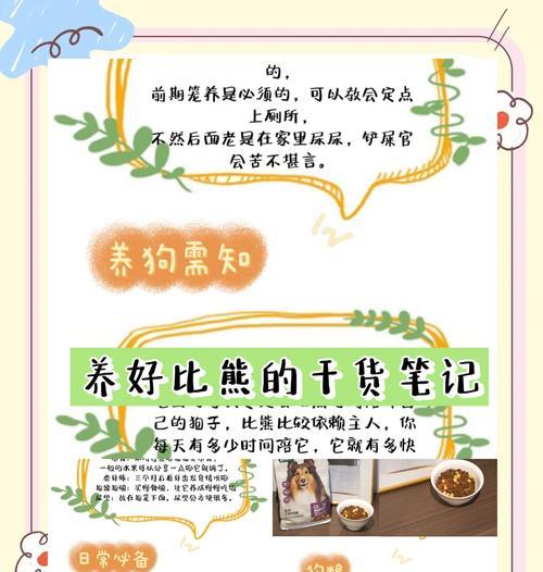 比熊误食甘蔗渣后应该怎么办？如何处理？