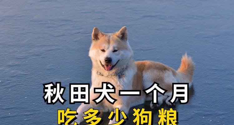 秋田犬适合吃哪些品种的狗粮？如何选择最适合的狗粮？