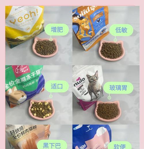 猫咪外出时如何选择合适的猫粮？不感冒的猫粮有哪些特点？