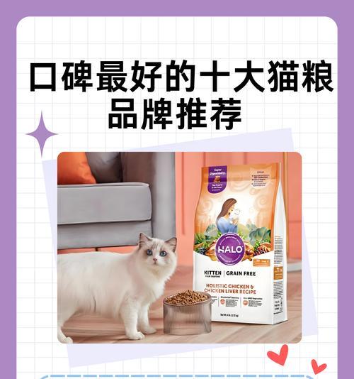 猫咪外出时如何选择合适的猫粮？不感冒的猫粮有哪些特点？