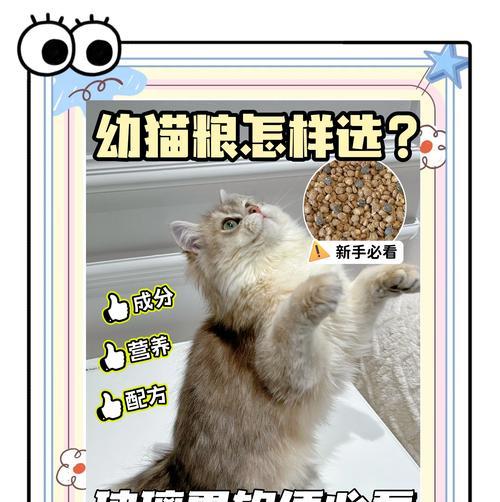 猫咪外出时如何选择合适的猫粮？不感冒的猫粮有哪些特点？