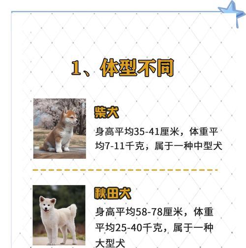 中型犬一顿饭吃多少狗粮正常？如何确定中型犬的正确喂食量？