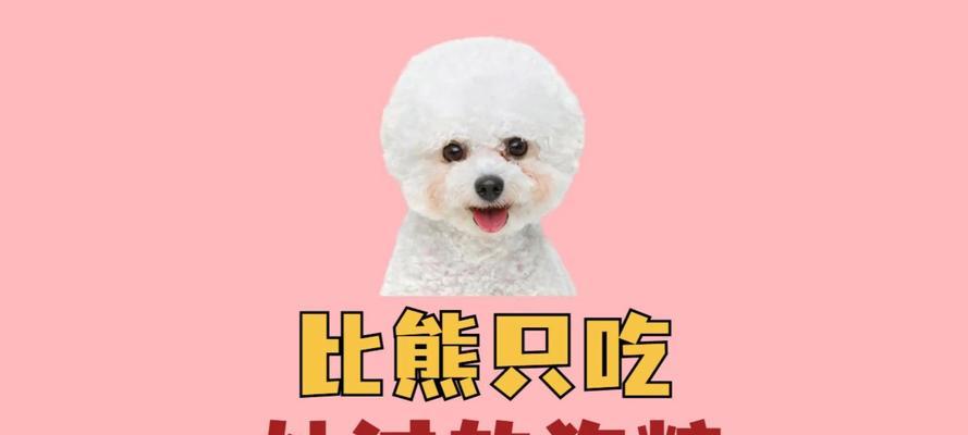 比熊犬吃鸡肝拌狗粮好吗？美味的拌法有哪些？