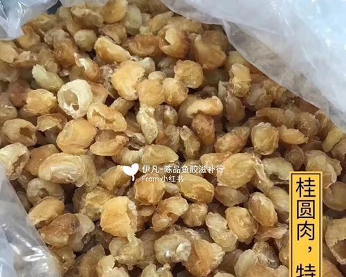 怀孕的比熊犬可以吃桂圆肉吗？