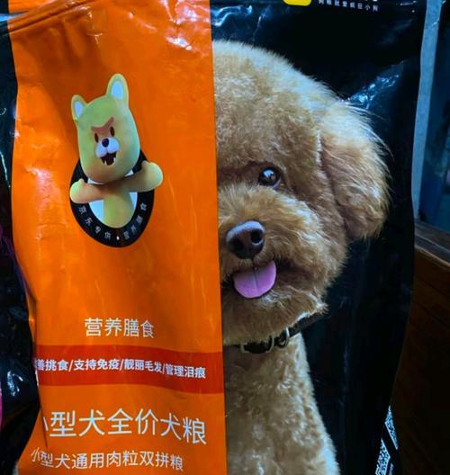 小型犬五斤狗粮能持续多久？吃多久会导致健康问题？