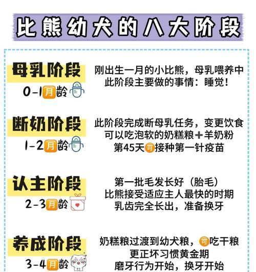 一个月大的比熊怎么喂养最好？有哪些有效方法？