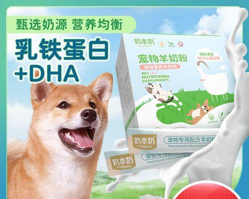 2个半月柴犬狗粮选择推荐？