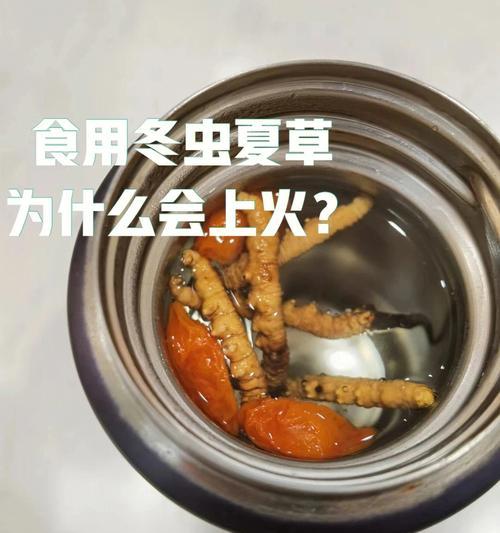 比熊食用鸡肝会导致上火吗？