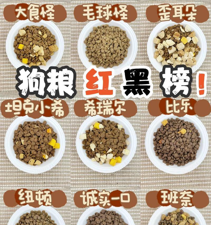 四个月大的中型犬每天需要多少狗粮？喂食指南是什么？