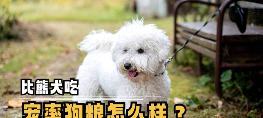 比熊犬吃鸡胸肉还是鸭肉狗粮更健康？哪种更适合比熊？