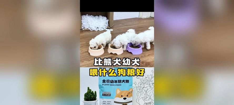 比熊犬吃鸡胸肉还是鸭肉狗粮更健康？哪种更适合比熊？