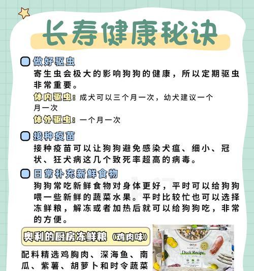 如何训练狗狗只吃狗粮不吃其他食物？有效的方法有哪些？