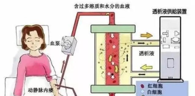 宠物食品中鸡肝粉的推荐使用量是多少？如何平衡营养？