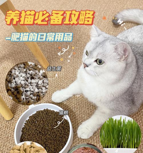 一岁多的暹罗猫吃多少克猫粮？如何计算日常摄入量？