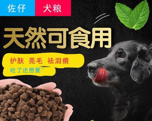 小型泰迪犬几个月大开始吃干狗粮？