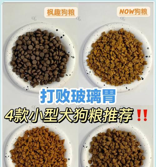 六个月大的小型犬应该喂多少狗粮？如何计算合适的喂食量？