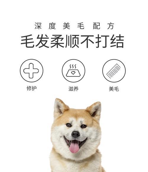 秋田幼犬每日狗粮量应如何控制？