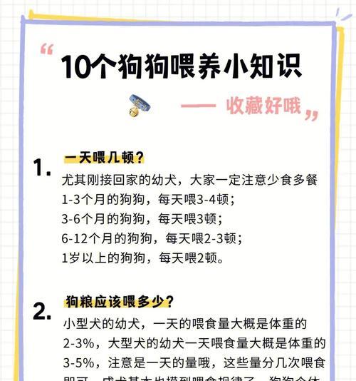 四个月大狗狗的日常狗粮摄入量是多少？