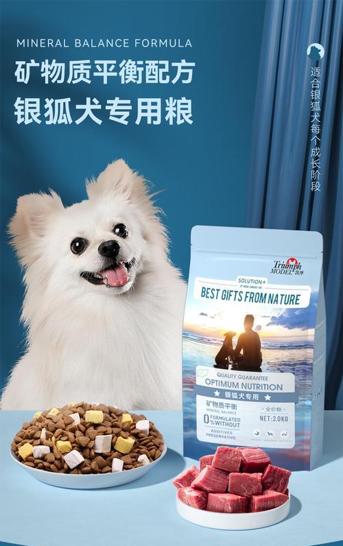 小型狐狸犬的正确喂食方法是什么？狗粮选择建议？