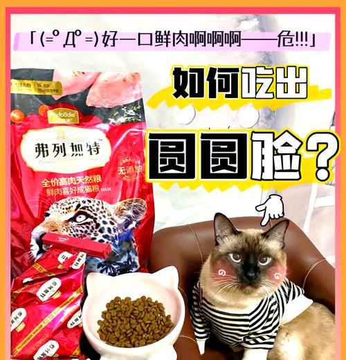 三月暹罗猫不进食猫粮的解决方法是什么？