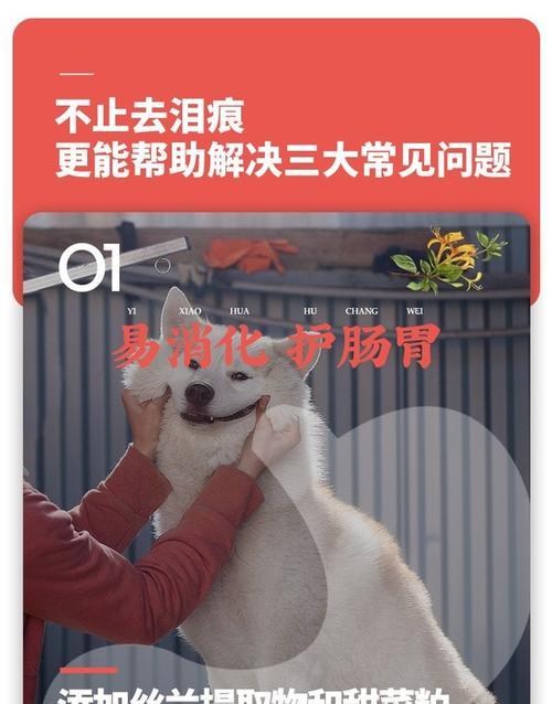 三斤狗粮能喂幼犬多久吃一次最好？如何合理分配？