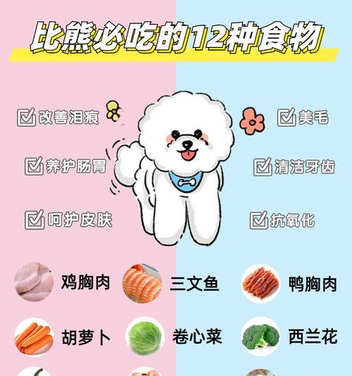 4个月比熊可以吃鸡蛋黄吗？鸡蛋黄对幼犬有何益处？