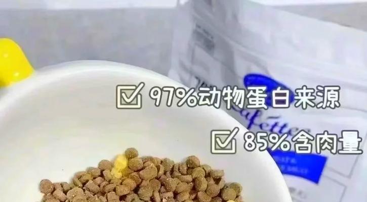 五个月大的比熊应该喂多少狗粮？如何确定合适的食量？