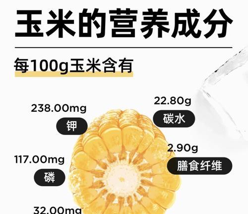 狗狗粮中掺玉米面和水的比例是多少？如何确保易消化？