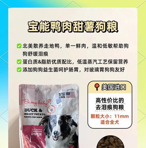 比熊适合吃清淡饮食狗粮吗？如何选择合适品牌？