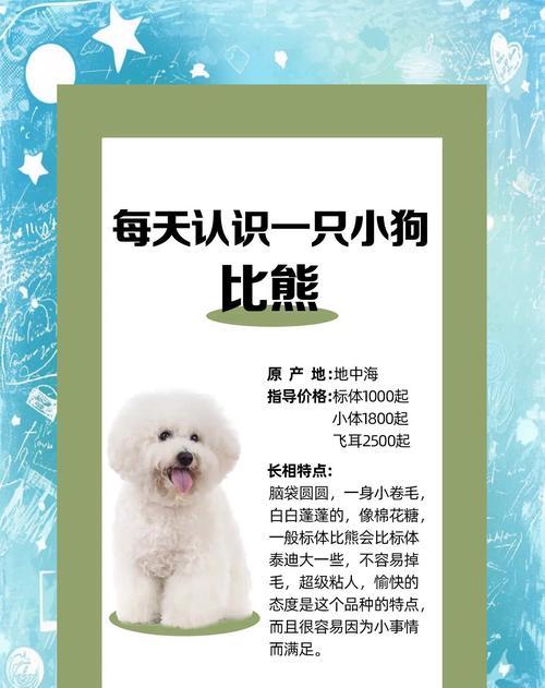 比熊犬狗粮和奶粉混合喂食好吗？有什么潜在风险？