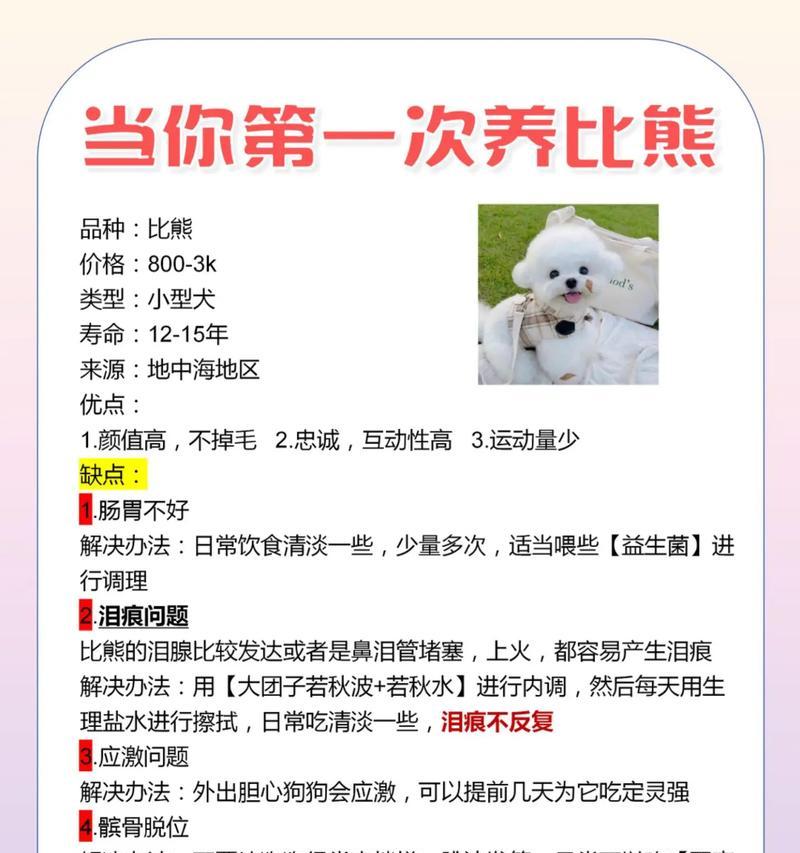 两个月大的比熊犬每天应该吃多少狗粮？如何判断比熊犬的食量是否正常？