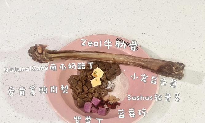 两个月大的比熊犬食谱推荐？营养需求如何满足？