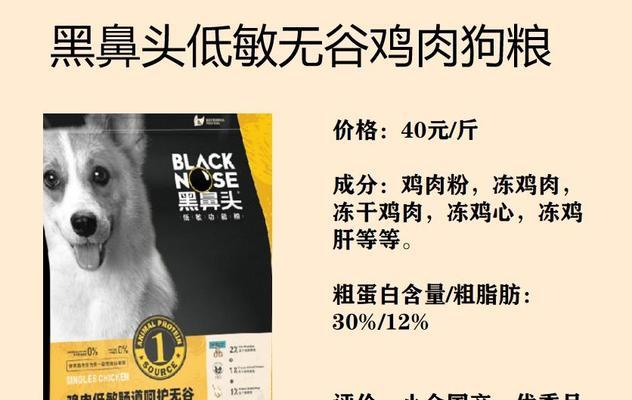 两个月柴犬吐狗粮的原因是什么？如何处理？