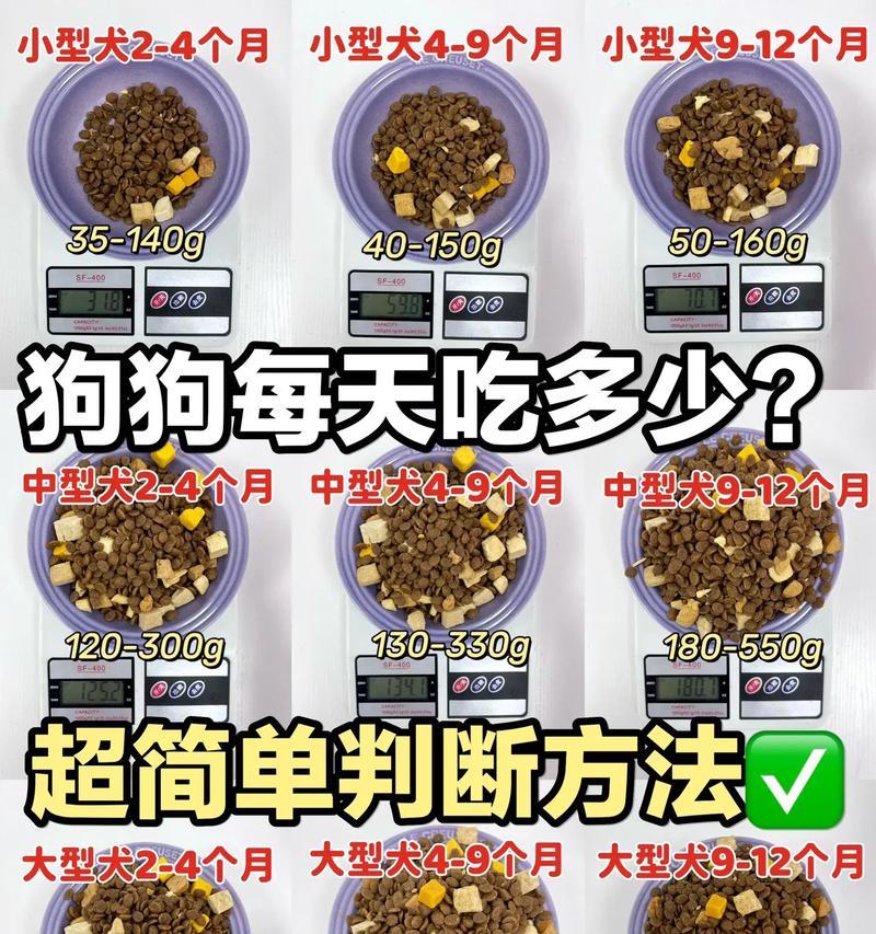 中型犬狗粮消耗：30斤能吃多久？