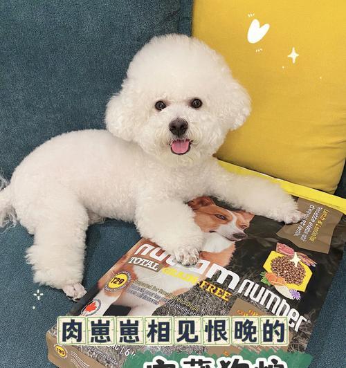 比熊幼犬换狗粮不适应怎么办？