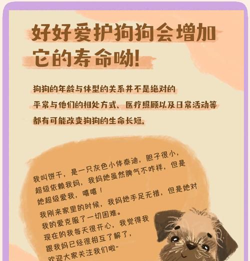 秋田犬应该吃中型犬还是大型犬狗粮？哪种更适合？