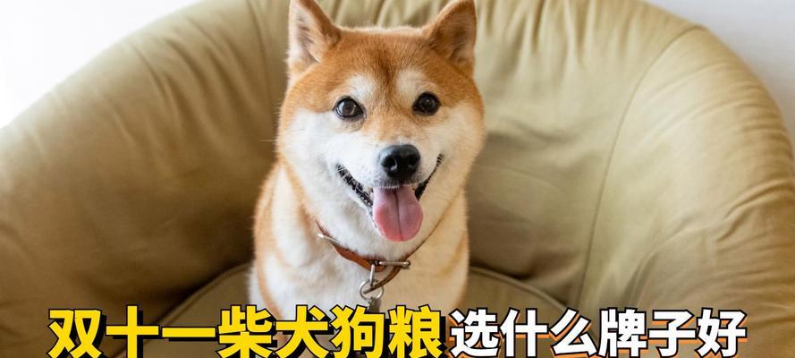 柴犬吐了狗粮后还能继续喂食吗？