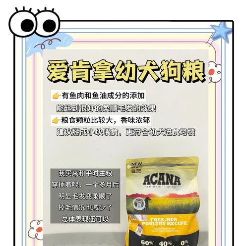 两只中型犬每天应吃多少狗粮？如何计算合适量？