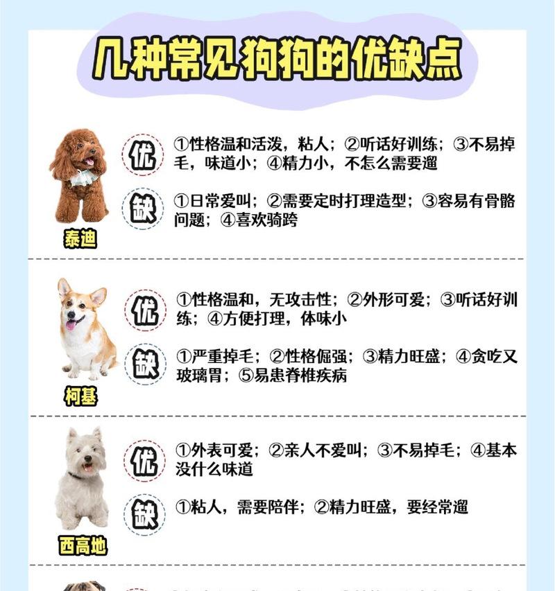 贵宾犬适合哪种天然狗粮品牌？