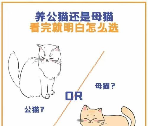 花猫是家畜还是宠物？公猫和母猫有何区别？