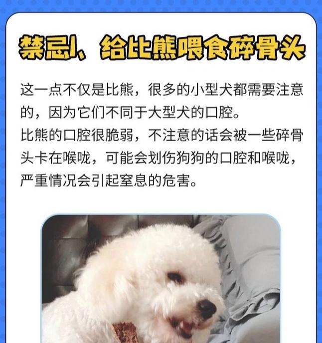 三个月的小比熊每次喂多少？如何制定合适的喂食计划？