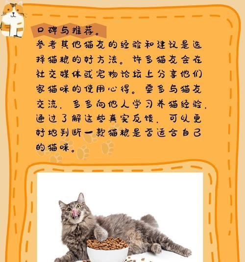 加菲猫吃什么猫粮既实惠又好？如何挑选合适的猫粮？