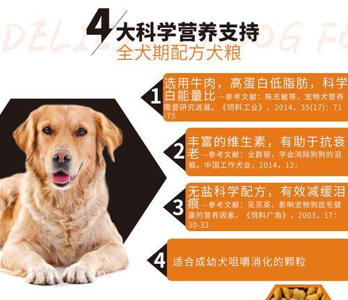 中型犬一天应该吃几顿狗粮？如何安排合理的喂食时间表？