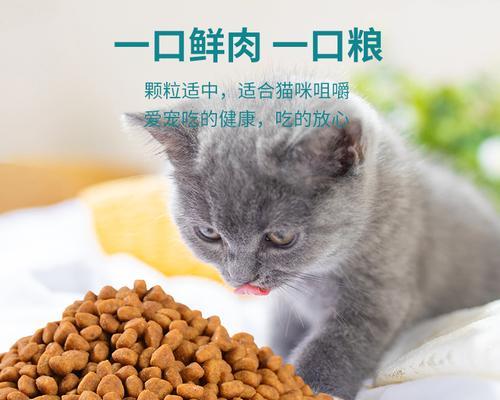 加菲猫喜欢吃什么牌子的猫粮？有哪些好吃又实惠的选择？