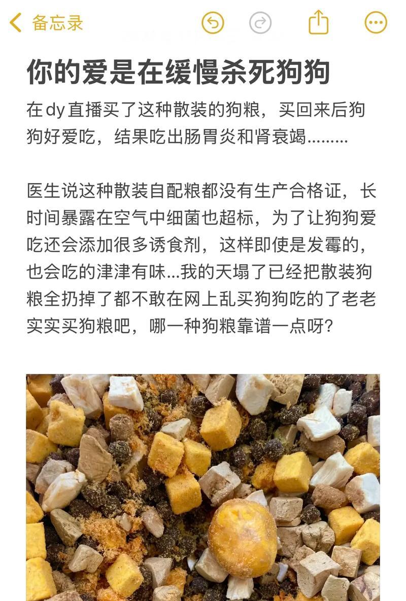 狗粮和米饭混合喂狗可行吗？对健康有何影响？