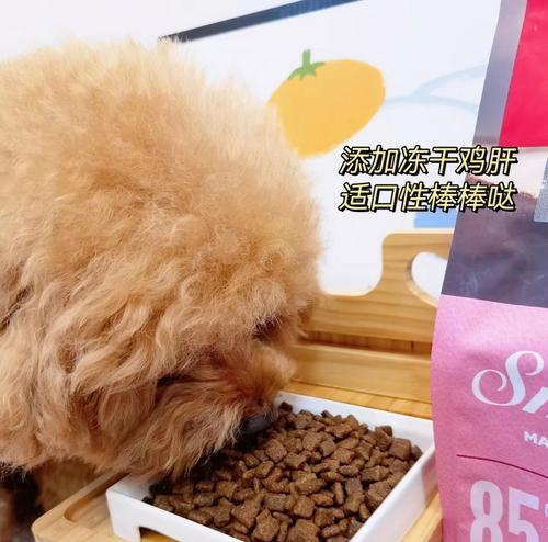 小型犬40斤狗粮能吃多久？如何计算合理的狗粮消耗量？