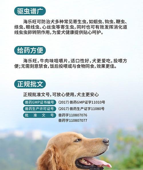 比熊幼犬驱虫后呕吐怎么办？需要立即就医吗？